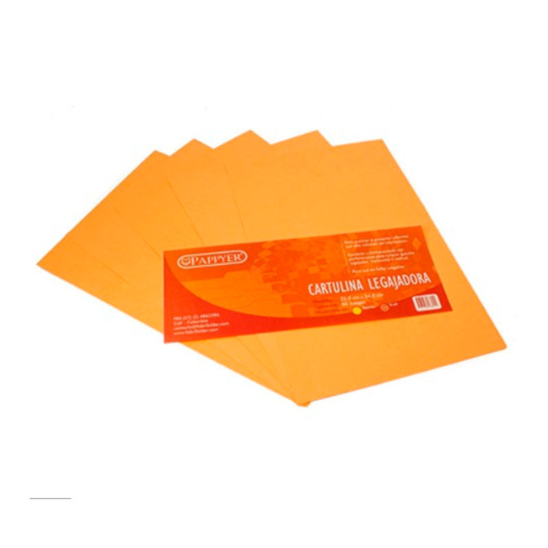 Cartulina legajadora juego x 2 unidades - FabriFolder