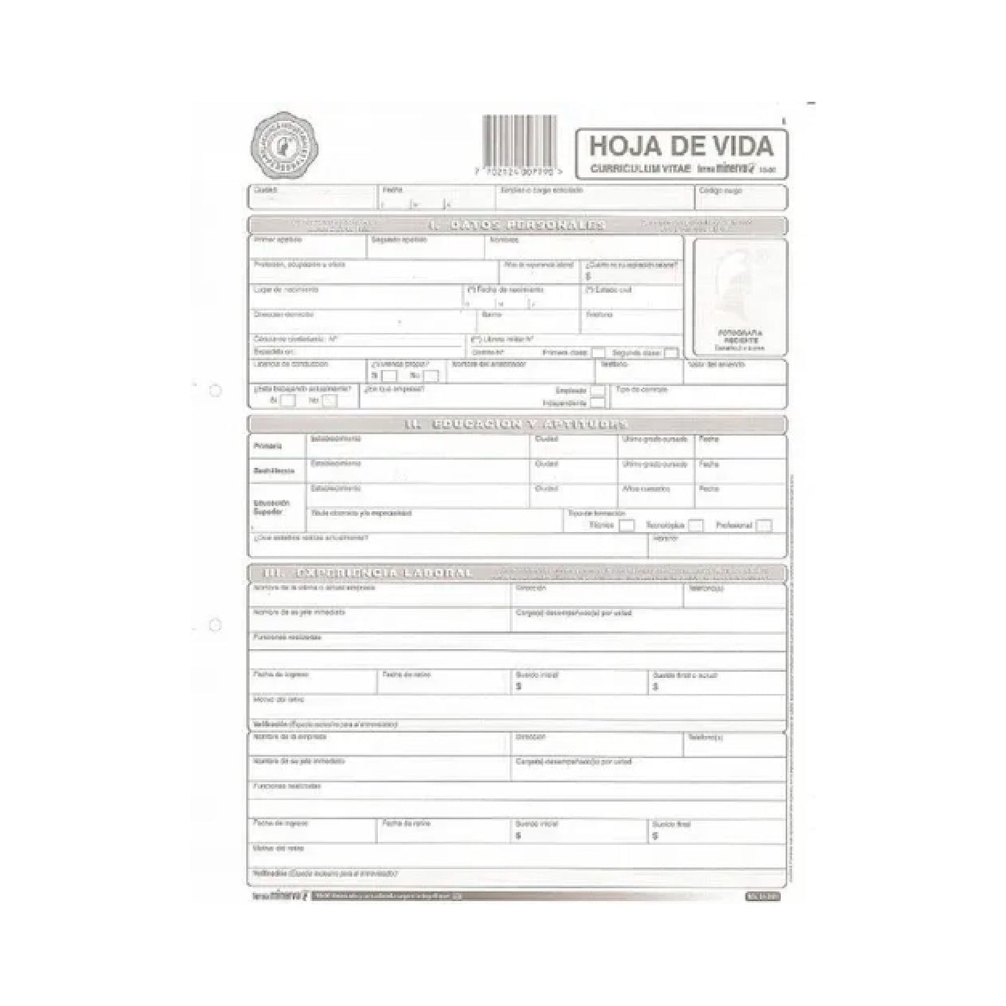 formato hoja de vida sencilla 1000