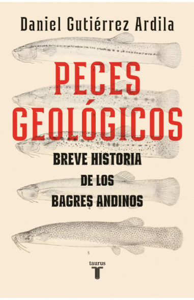 Peces Geológicos - Daniel Gutierrez